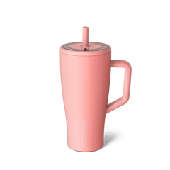 Era 30oz | Guava - Simple Care
