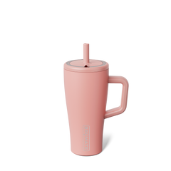 Era 20oz | Guava - Simple Care