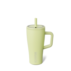 Era 20oz | Prickly Pear - Simple Care