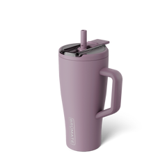 Era Flip 30oz | Lilac Dusk - Simple Care