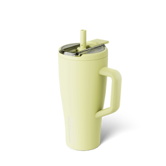 Era Flip 30oz | Prickly Pear - Gentle Care