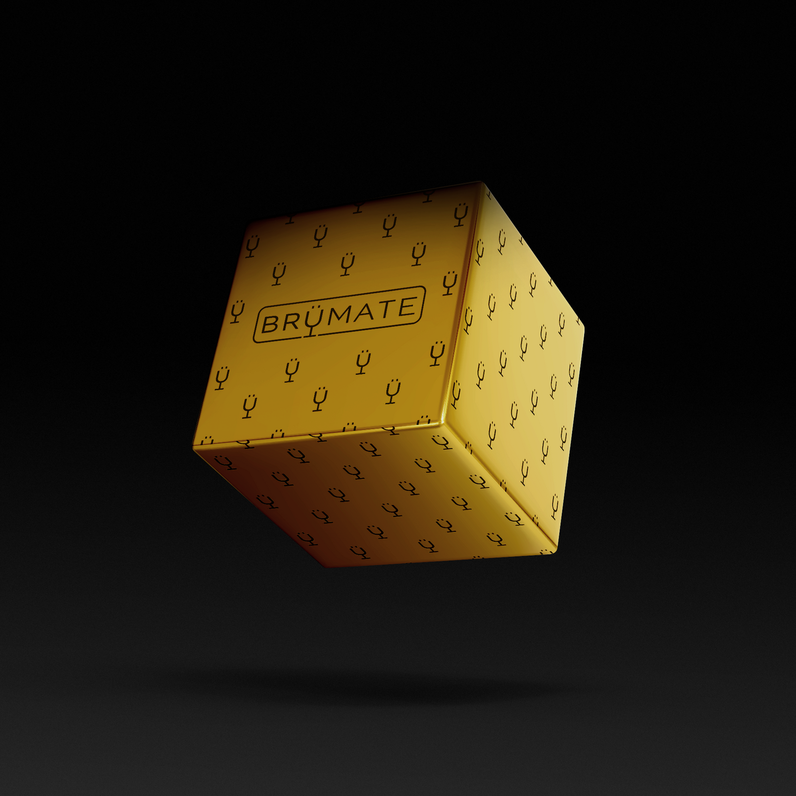 Premium Mystery Item ($39-70 Value) - Essential Use